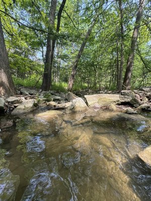Krause Springs by null