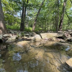 Krause Springs - Natural Spring Tubs