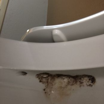 Fairfield by Marriott Inn & Suites Sandusky - No words. Toilet hasn't been thoroughly cleaned in god knows how long! - Hotels Near Me - Sandusky, Ohio