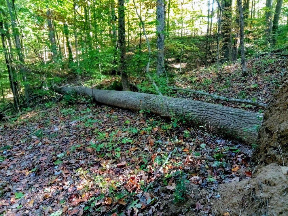 Mother Hubbard's Cupboard - social services organization in Bloomington, IN