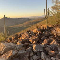 Tumamoc Hill - What a glorious morning
