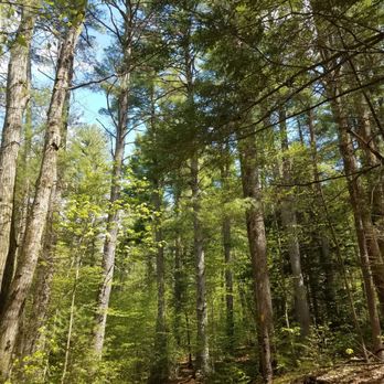 Ethel Walker Woods - Hiking Near Me Ethel Walker Woods - Hiking Near Me