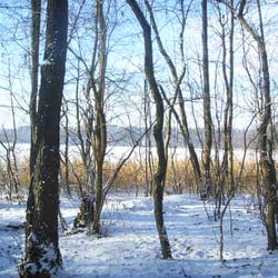 Summter See