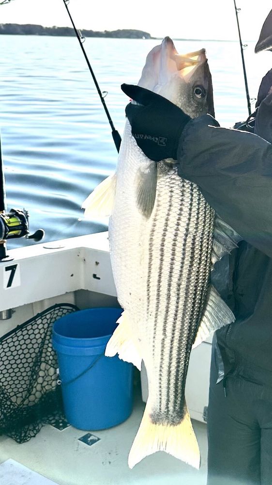 PrimeTime Fishing Charter Logo