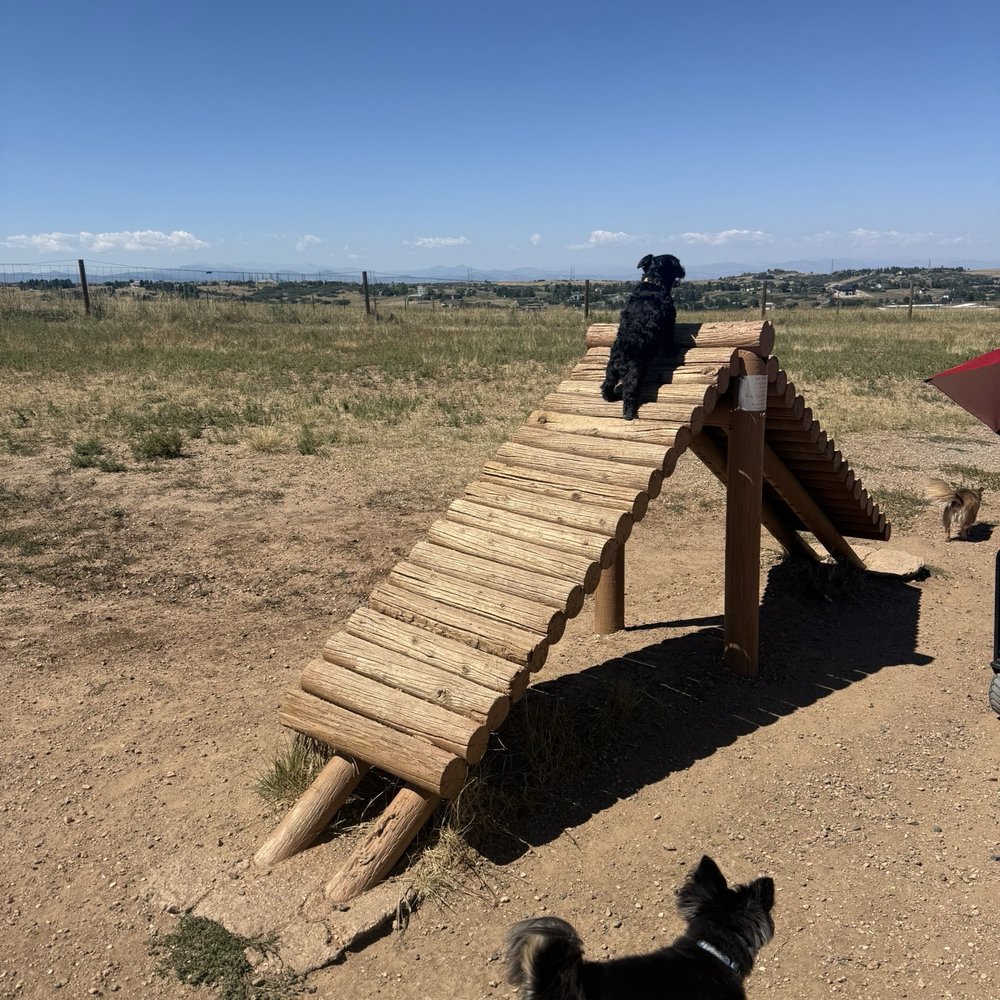 Glendale Farm Open Space - My morkie was giving the ramp a try - Parks Near Me - Castle Rock, Colorado Glendale Farm Open Space - My morkie was giving the ramp a try - Parks Near Me - Castle Rock, Colorado