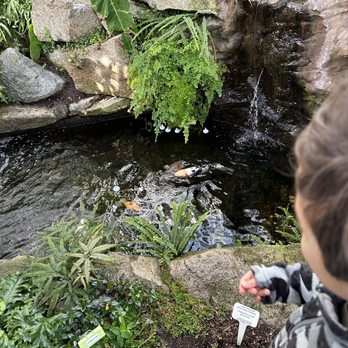 W W Seymour Conservatory - Fish! - Botanical Gardens Near Me - Tacoma, Washington W W Seymour Conservatory - Fish! - Botanical Gardens Near Me - Tacoma, Washington