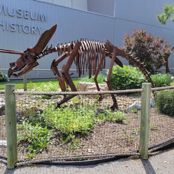 Dinosaur Sculpture Garden - Triceratops - Public Art Near Me - Columbus, Ohio Dinosaur Sculpture Garden - Triceratops - Public Art Near Me - Columbus, Ohio
