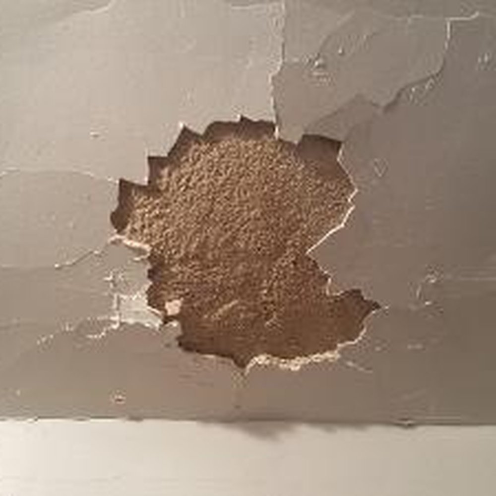 The Bat Guys Bat Removal - ruined ceiling - Pest Control Near Me The Bat Guys Bat Removal - ruined ceiling - Pest Control Near Me