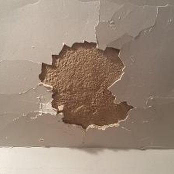 The Bat Guys Bat Removal - ruined ceiling - Pest Control Near Me The Bat Guys Bat Removal - ruined ceiling - Pest Control Near Me