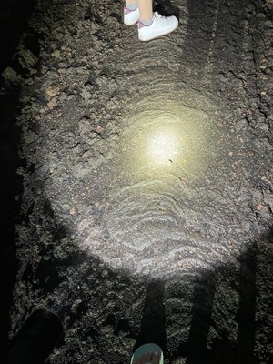 Hana Lava Tube by null