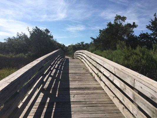 Carolina Beach State Park by null
