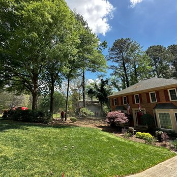 Northside Tree Professionals - All gone - Tree Services Near Me - Atlanta, Georgia Northside Tree Professionals - All gone - Tree Services Near Me - Atlanta, Georgia