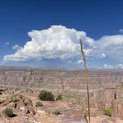 The Grand Canyon West Rim