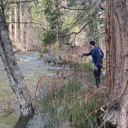 Yosemite Fly Fishing Guide