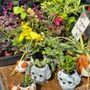 North Tonawanda Farmers Market
