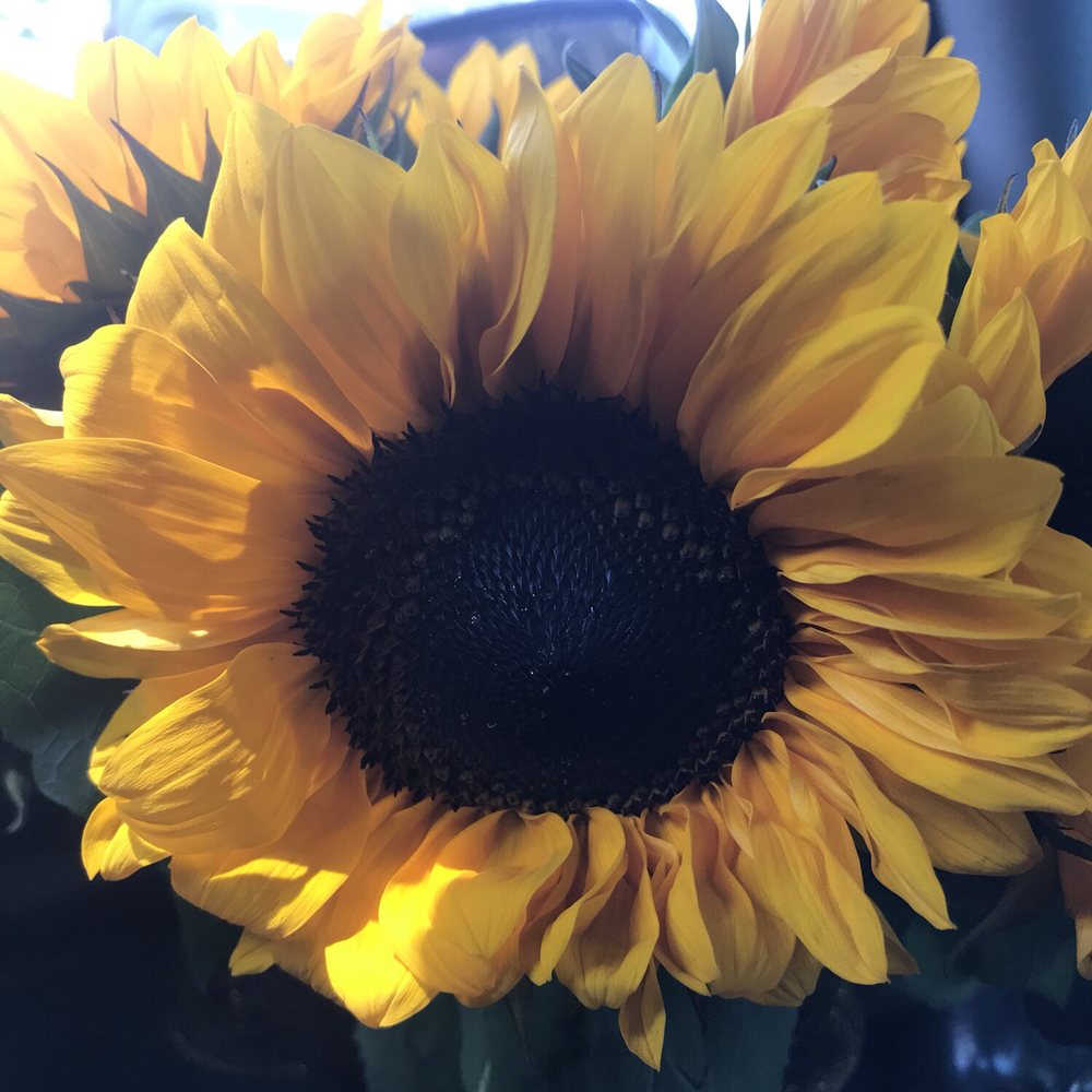 May Flowers - Florists Near Me - Santa Fe Springs, California May Flowers - Florists Near Me - Santa Fe Springs, California
