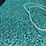 Photo of First Class Pool Service
