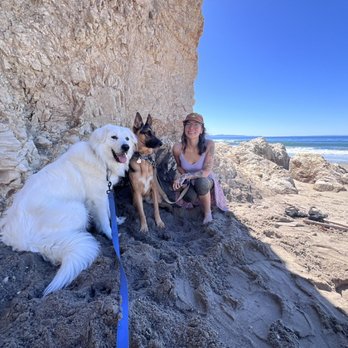 Bar K9 Dog Training - Pet Training Near Me