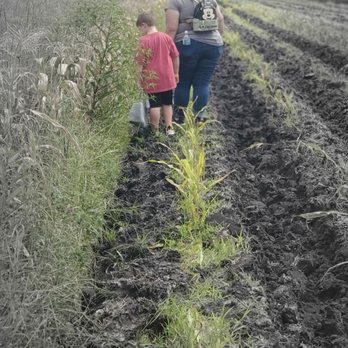 Wesley Wells Farm - Pumpkin Festival - Pick Your Own Farms Near Me - St. Augustine, Florida