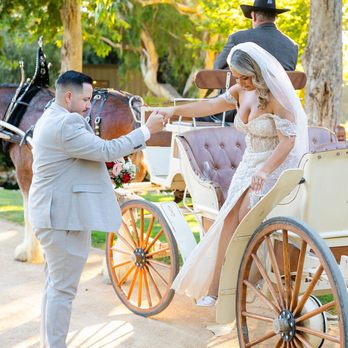 MKL Images - Bride groom and horse and carriage - Photographers Near Me MKL Images - Bride groom and horse and carriage - Photographers Near Me