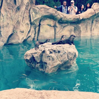 Bearizona - Zoos Near Me - Williams, Arizona Bearizona - Zoos Near Me - Williams, Arizona