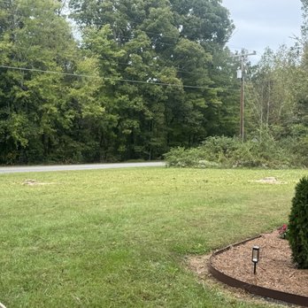 Starling Landscape & Lawncare - After picture of tree work - Landscaping Near Me Starling Landscape & Lawncare - After picture of tree work - Landscaping Near Me