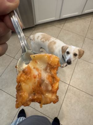 Alessia's | Ristorante Italiano by null