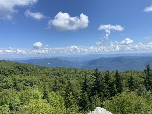 Dolly Sods Wilderness by null