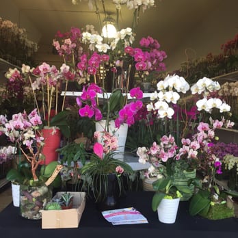 Orkizz - Florists Near Me - Los Angeles, California Orkizz - Florists Near Me - Los Angeles, California