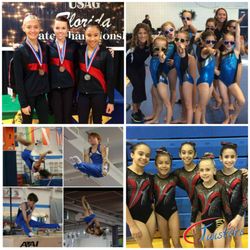American Twisters Gymnastics - Winning Competitive Teams for all ages!