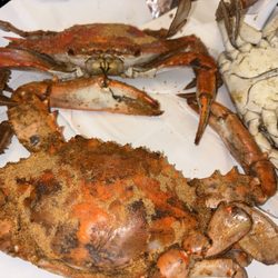 Crab Time - Colossal