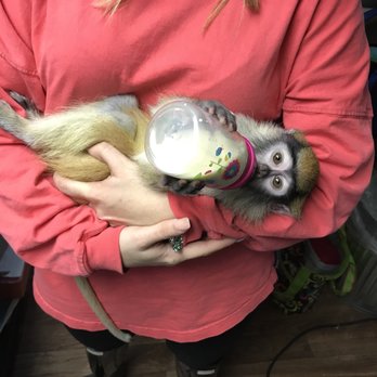 Critters Exotic Pets - Pet Stores Near Me - Waco, Texas Critters Exotic Pets - Pet Stores Near Me - Waco, Texas