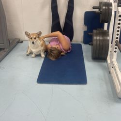 Mountains' Edge Fitness - Corgi petting station
