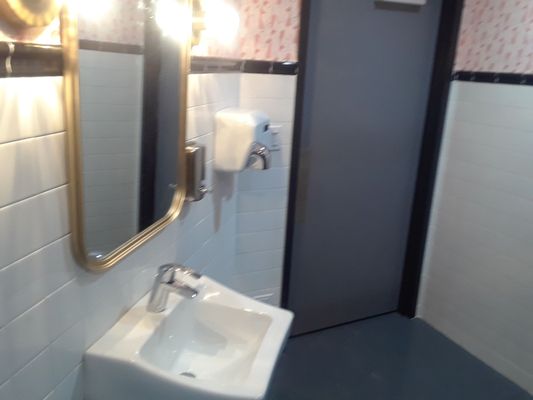 The Pink Squirrel by null