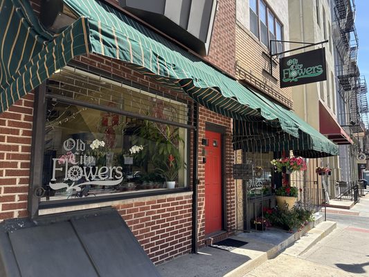 Old City Flowers by null