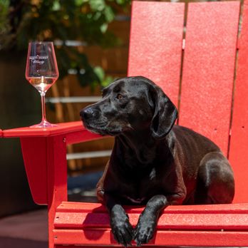 Truett Hurst - The outdoor patio is dog friendly! - Wine Tasting Room Near Me - Healdsburg, California Truett Hurst - The outdoor patio is dog friendly! - Wine Tasting Room Near Me - Healdsburg, California
