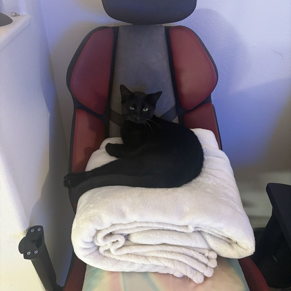 Pawsific Northwest Cat Cafe - Coffee & Tea Near Me - Olympia, Washington