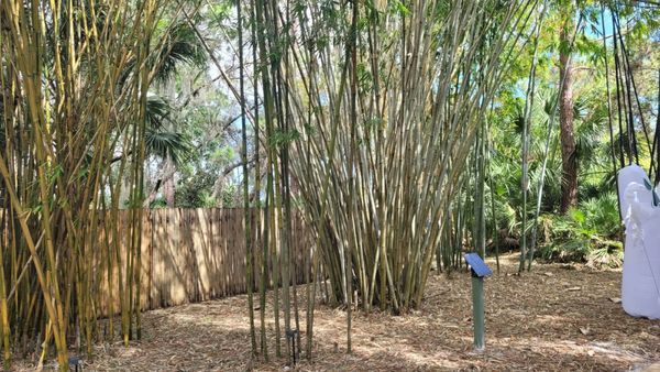 Port St. Lucie Botanical Gardens by null