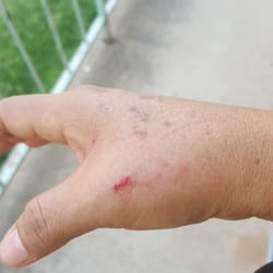 Ok Taxi - asà me dejo la taxista #2227 por arrebatarme. $30 dólares que en realidad yo le tenÃa que pagar $10 dólares se puso agresiva taxis OK