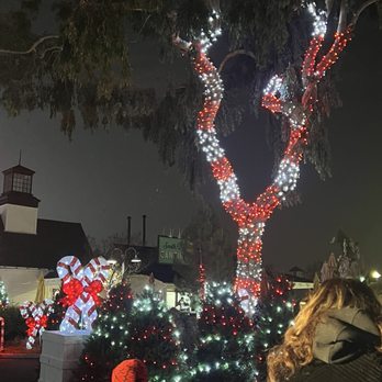 Great America's Winterfest - Festivals Near Me - Santa Clara, California Great America's Winterfest - Festivals Near Me - Santa Clara, California