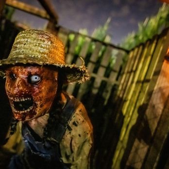 The Haunted Harvest - Haunted Houses Near Me - Chino, California The Haunted Harvest - Haunted Houses Near Me - Chino, California