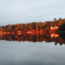 Pines of Paradise - Fall Colors