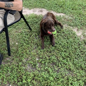 Vero Beach Dog Park - Dog Parks Near Me - Vero Beach, Florida