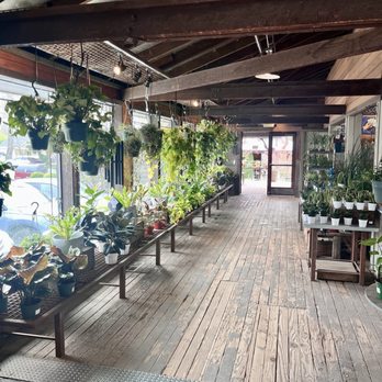 High Hand Cafe - New American Near Me - Loomis, California High Hand Cafe - New American Near Me - Loomis, California