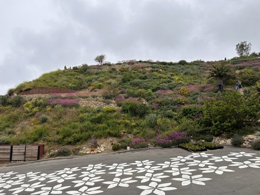 Ventura Botanical Gardens by null
