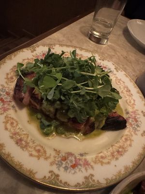 The Wood Owl by null