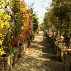 First Image Nursery