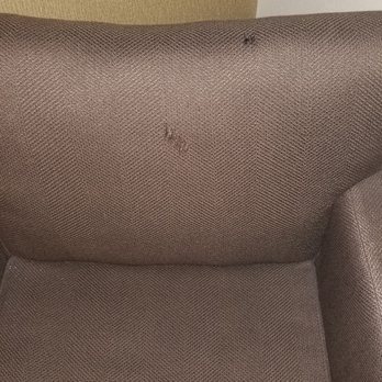 Comfort Inn - Tear on chair - Hotels Near Me - Great Falls, Montana