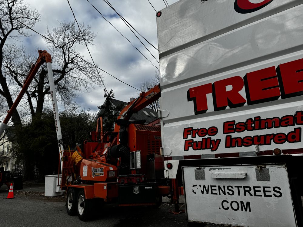 Owens Brothers Tree Service - tree service in Bronx, NY