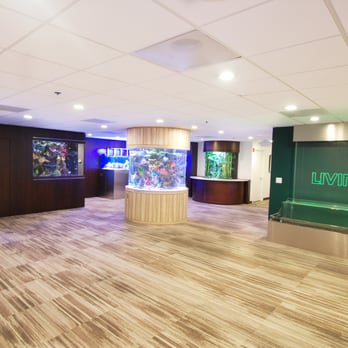 Pro Dry Carpet Cleaning - Our beautifully cleaned carpet in our Show Room. Thank you Pro Dry! - Carpet Cleaning Near Me Pro Dry Carpet Cleaning - Our beautifully cleaned carpet in our Show Room. Thank you Pro Dry! - Carpet Cleaning Near Me